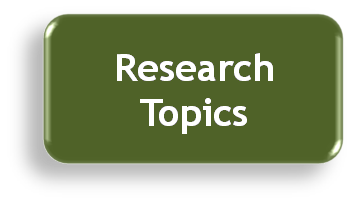 example mba research topics