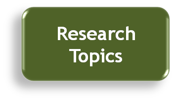 tourism research project topics